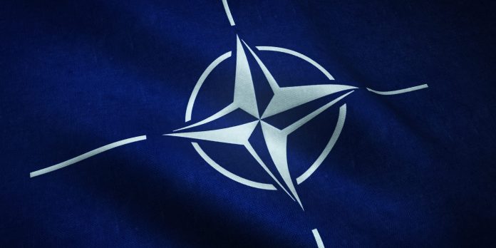 Nato. Foto: Envato