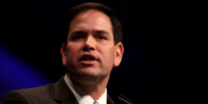 Marco Rubio. Foto: Wikipedia/ Gage Skidmore/ CC BY-SA 2.0