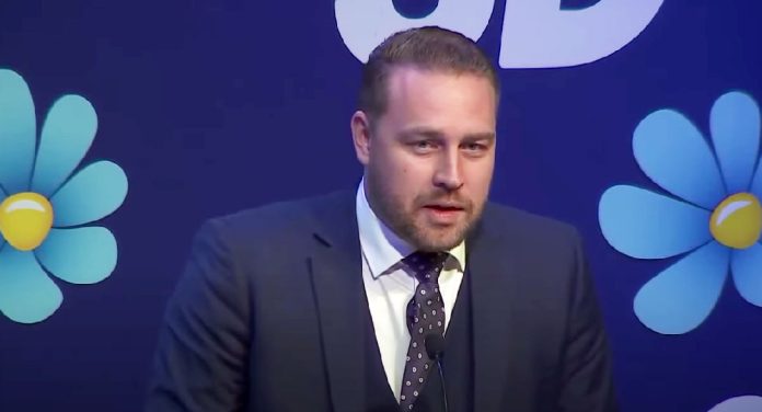 Mattias Karlsson. Skärmavbild: Youtube/Sverigedemokraterna