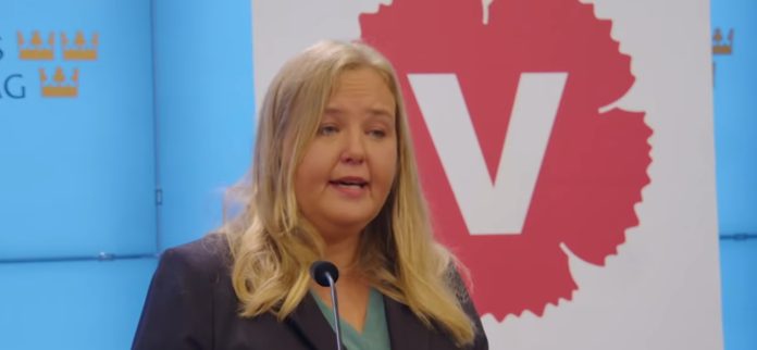 Vänsterpartiets vice ordförande Ida Gabrielsson. Skärmavbild: Youtube/ Vänsterpartiet